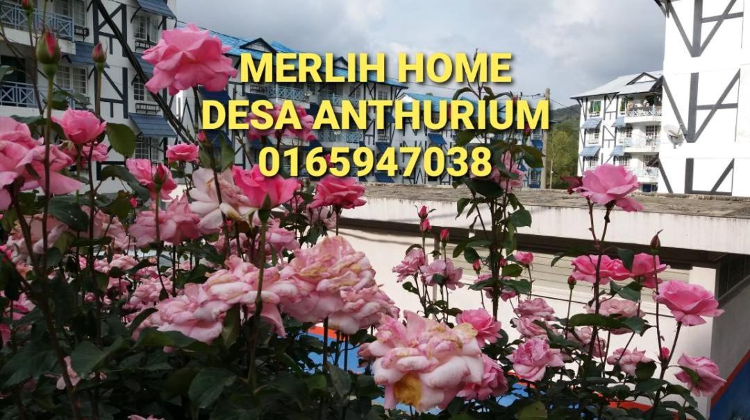 Apartment Merlin Desa Anthurium Tanah Rata